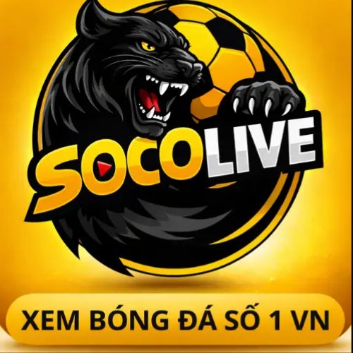 Socolive1camm